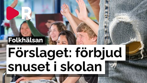 Nu kan snuset förbjudas på svenska skolor: "Giftigt ämne"