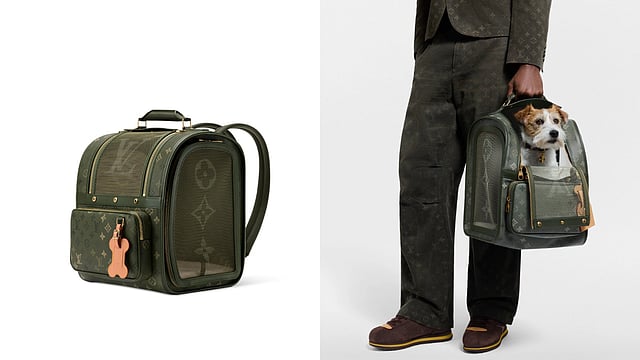 fiorelli finley mini backpack chestnut Fiorelli Finley Backpack : Amazon.co.uk: Fashion