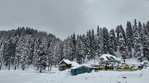 Ski Party in Gulmarg