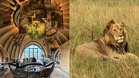 Wilderness Magashi Peninsula 