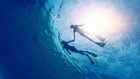 Snorkelling