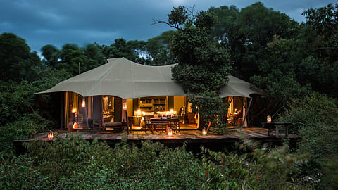 Luxury Suite at Mara Plains Camp, Great Plains Conservation
