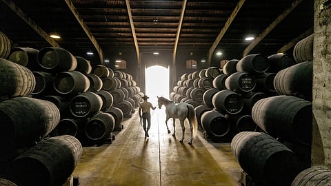 Sherry-seasoned oak casks of The Macallan