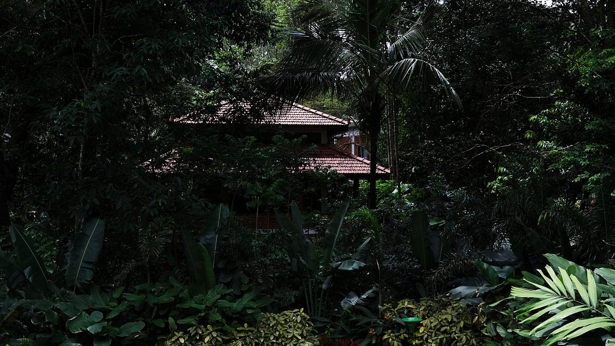 Why The Leela Coorg Forest Sanctuary Is Karnataka's Most Luxurious Nature Retreat