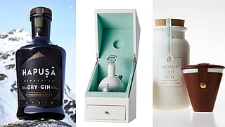 Gin Bottles