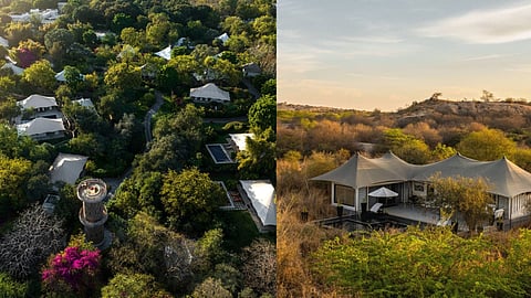 Wild by Design: India's Most Luxurious National Park Stays