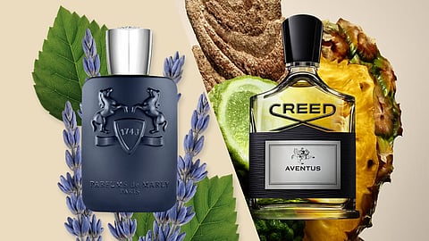 Best Luxury Perfumes for Men