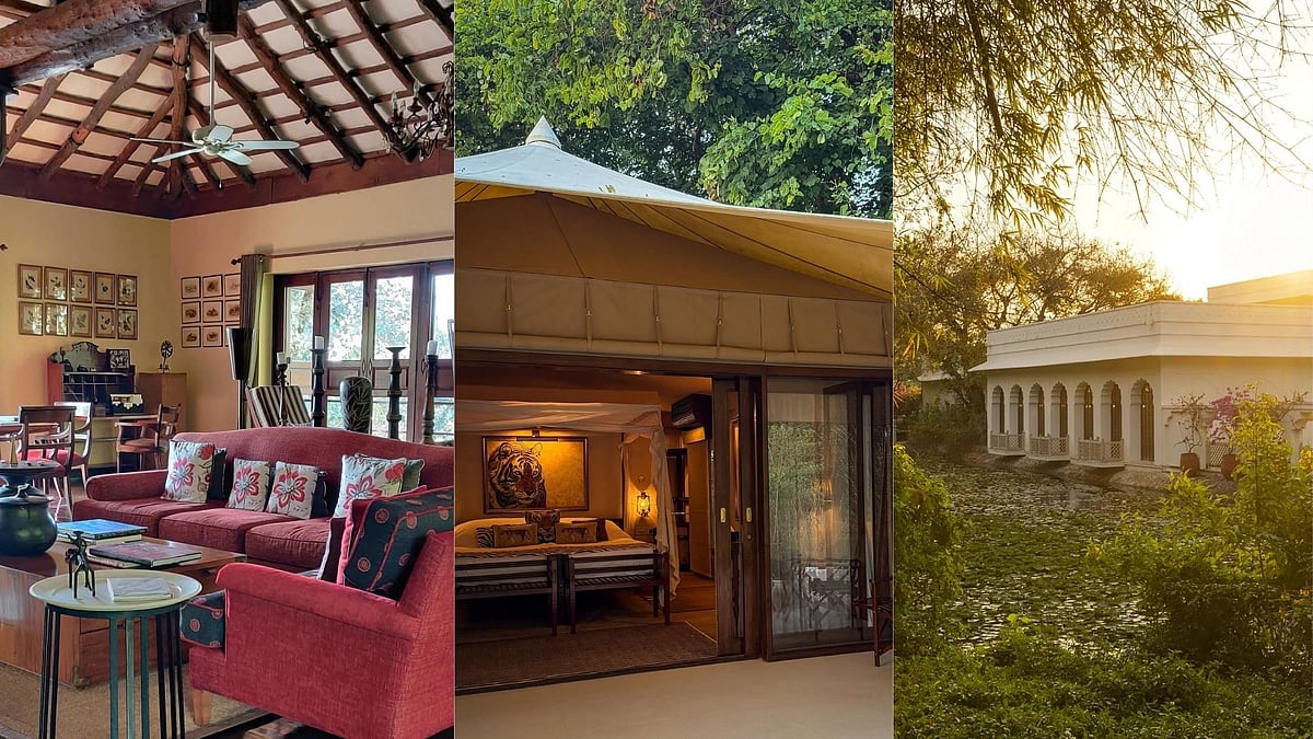 Top Luxury Tiger Safari Lodges In India: Ranthambore, Kabini, Kaziranga And Bandhavgarh