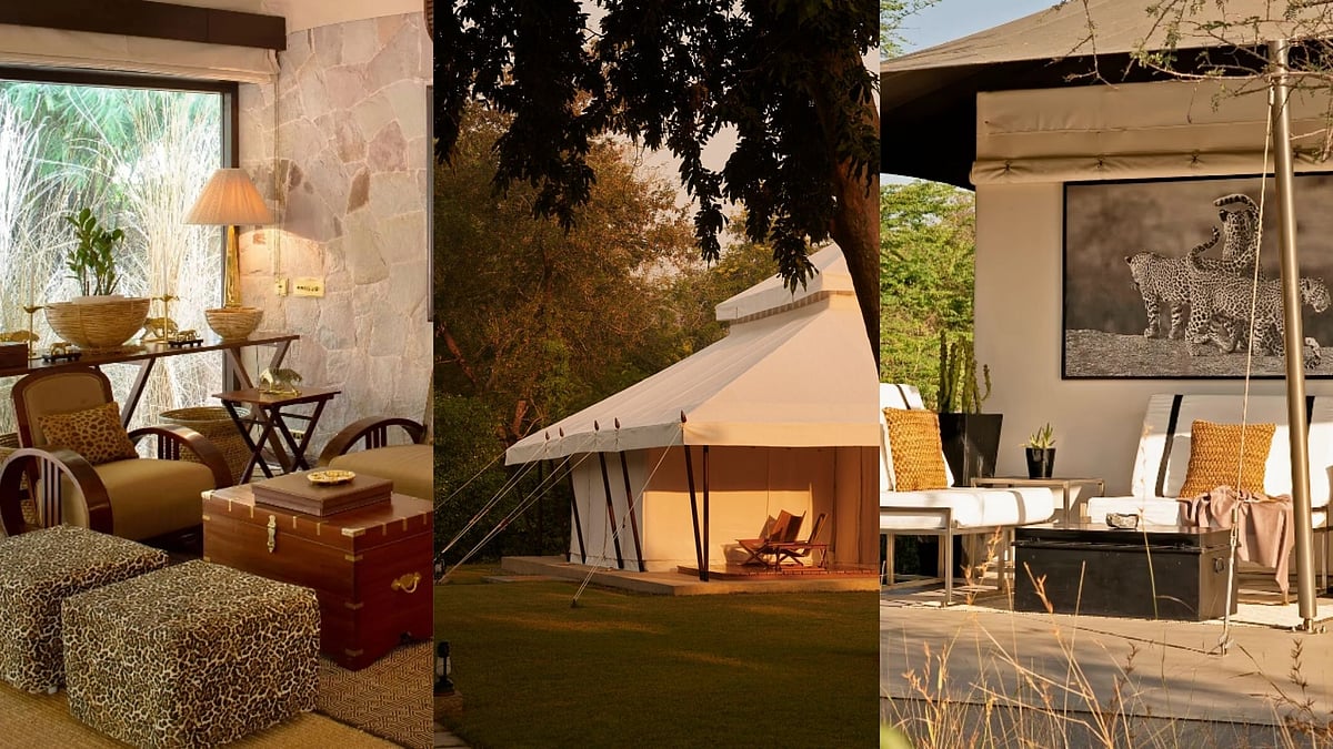Top 5 Luxury Jungle Resorts In Rajasthan From Oberoi To Taj Sawai