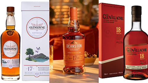5 Best Single Malt Scotch Whiskies 2026