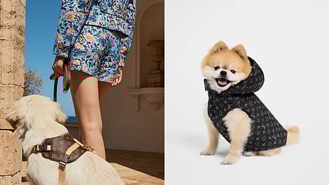 Louis Vuitton Pet Essentials