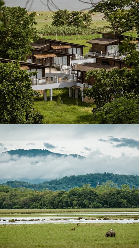 7 Wildlife Luxury Escapes to Explore This New Year 2026