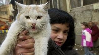 KOŠICE: Na riešenia sídliska Luník IX majú kandidáti na primátora rôzny pohľad.