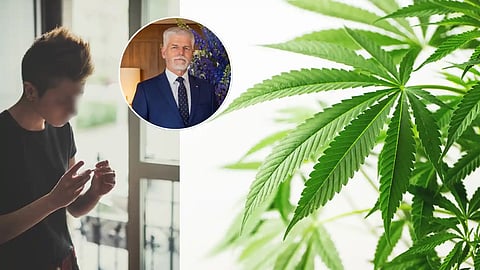 Marihuana bude v Česku legálna, na Slovensku hrozí väzenie.