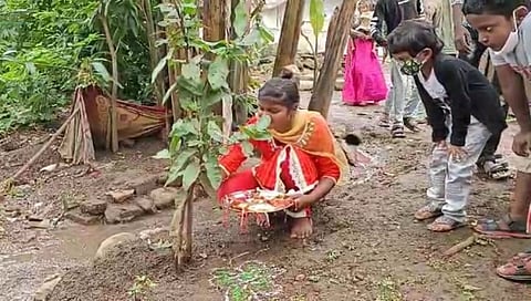 आदिवासी पाड्यावर झाडांना राखी बांधून साजरे झाले रक्षाबंधन