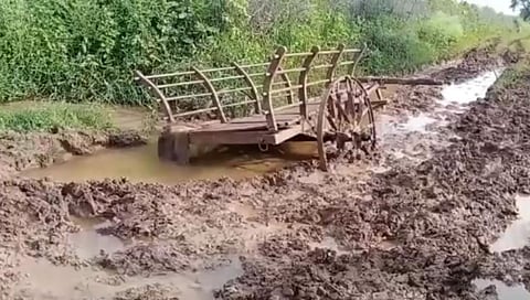 पाणंद रस्ता चिखलमय झाल्याने खते घेऊन जाणारी बैलगाडी चिखलात फसली