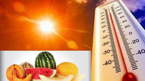 Water Rich Fruits To Keep Your Hydrated in Summer, How to hydrate body in summer, Summer Health Tips 