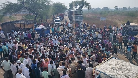 Farmer Cotton Price
