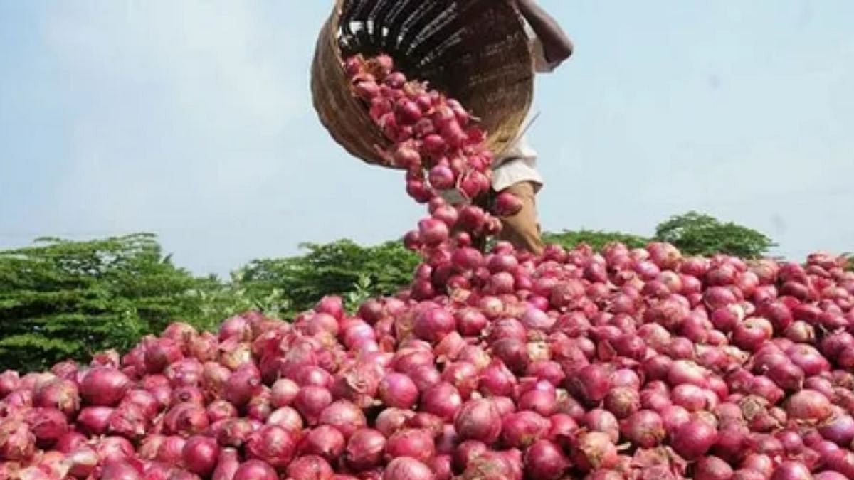 Big Decision for Onion Farmers : कांदा उत्पादक शेतकऱ्यांसाठी केंद्र सरकारची  मोठी घोषणा; २ लाख मेट्रिक टन कांदा खरेदीचा निर्णय