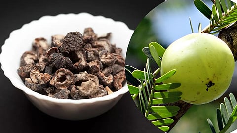 Benefits of Dried Amla