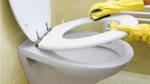 Toilet Seat Cleaning Hacks