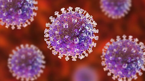 Crimean-Congo Hemorrhagic Fever