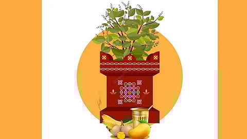 Tulsi Vivah 2023