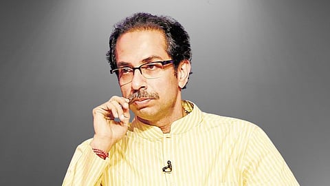Thackeray group 
