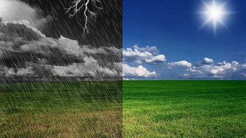 Maharashtra Weather Forecast