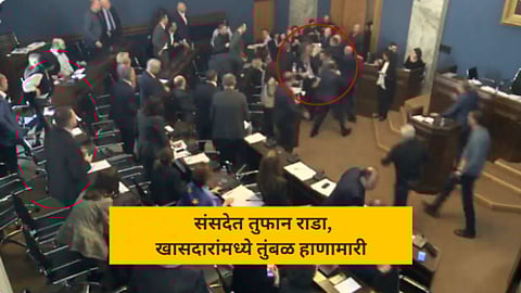 Georgian Parliament Fight