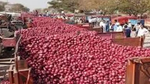 Onions Auction