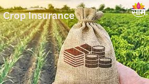 Crop Insurance