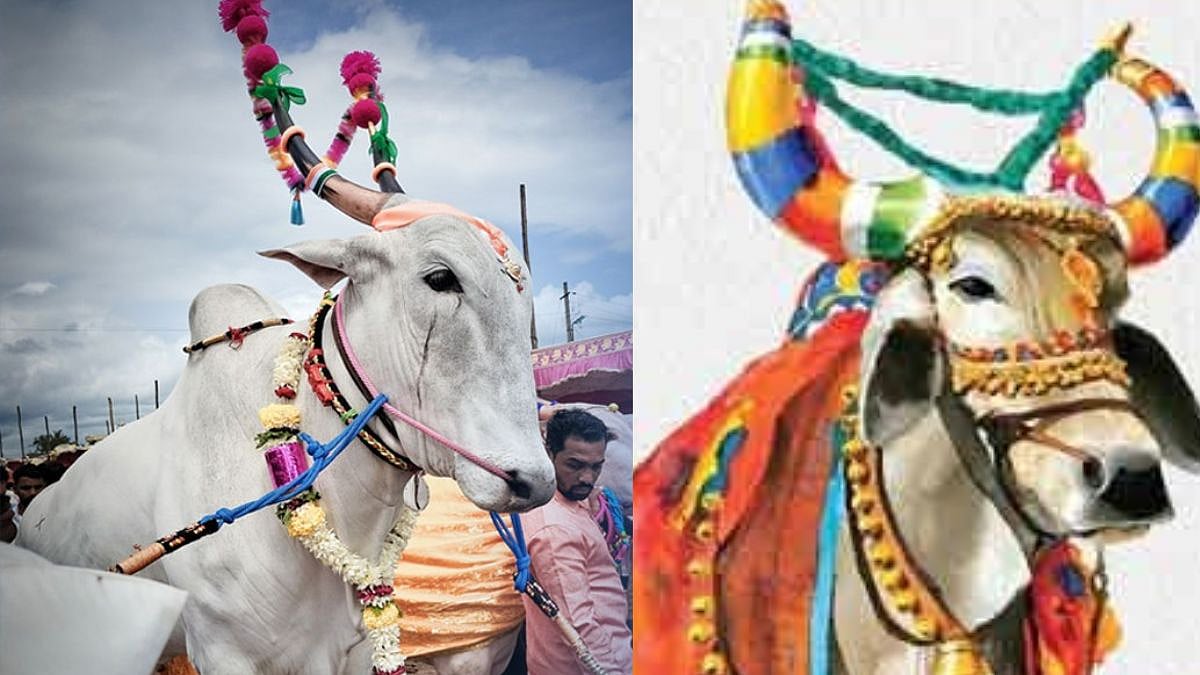 Maharashtra Bendur 2024 : राज्यभर बेंदूर सण उत्साहात साजरा; विविध ...