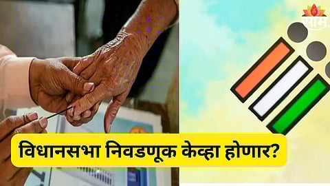 विधानसभा निवडणूक