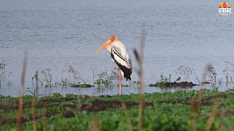 Sangli Travel