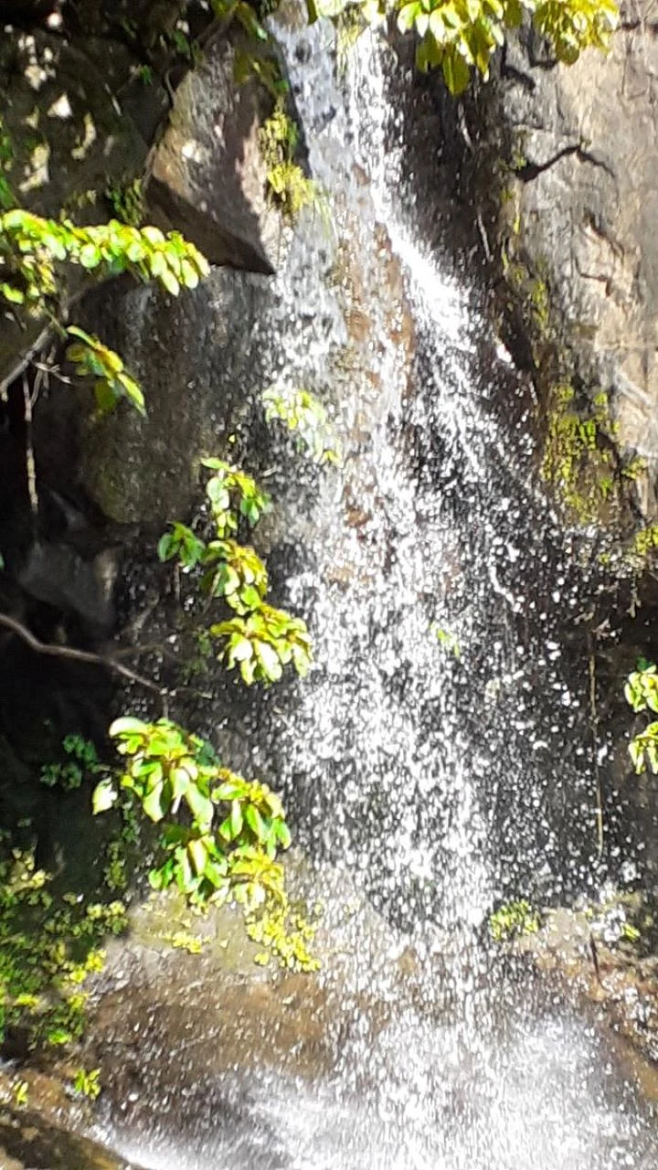 famous waterfall Maharashtra
