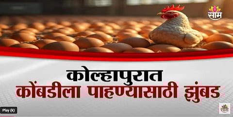 Kolhapur Hen