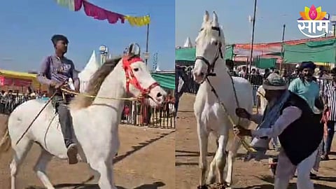 Sarangkheda Festival