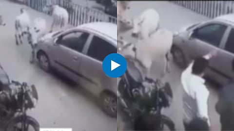 Viral Video