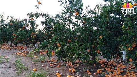 Orange Farm