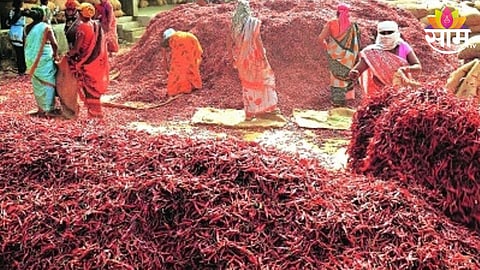 Red Chilli Price