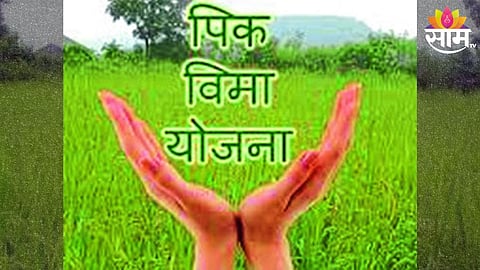 Crop Insurance
