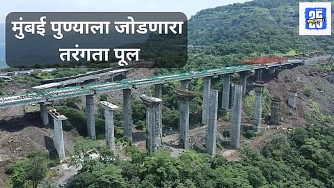 Missing Link Project