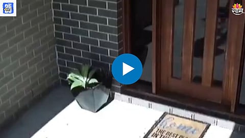 Shocking Viral Video