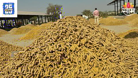 Turmeric Price