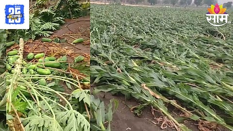 Buldhana Unseasonal Rain