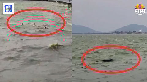 काश्मीरच्या दल सरोवरमध्ये बोट उलटली, पर्यटकांचा जीव वाचवण्यासाठी धावा, १७ सेकंदाचा व्हिडिओ