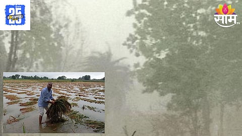 Unseasonal Rain