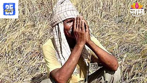 शेतकऱ्यांसाठी महत्वाची बातमी, हिवाळी अधिवेशनात मिळणार कर्जमाफीची मोठी भेट? सरकारकडून हालचालींना वेग