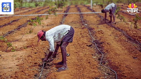 Agriculture Land Partition Deed